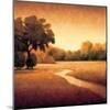 Early Morning I-Gregory Williams-Mounted Art Print