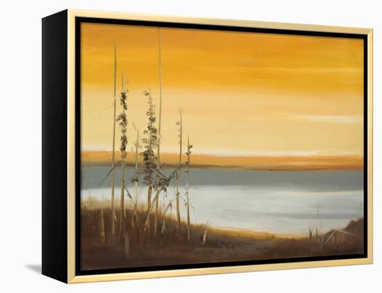 Early Morning II-Nelly Arenas-Framed Stretched Canvas