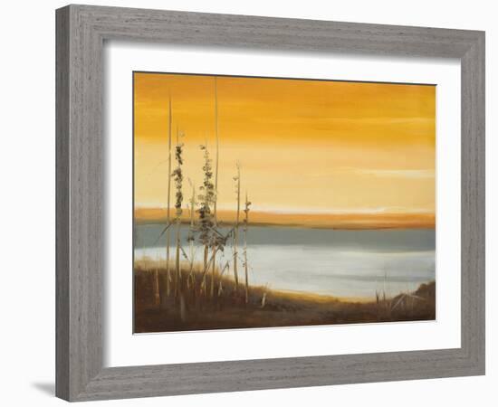 Early Morning II-Nelly Arenas-Framed Art Print