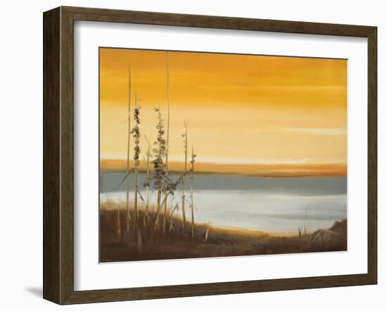 Early Morning II-Nelly Arenas-Framed Art Print