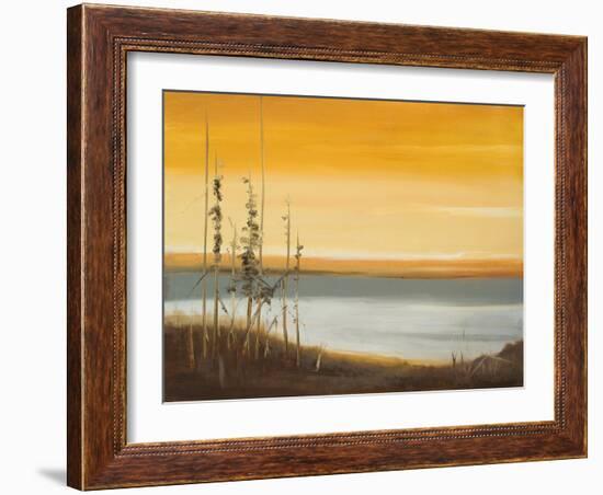 Early Morning II-Nelly Arenas-Framed Art Print