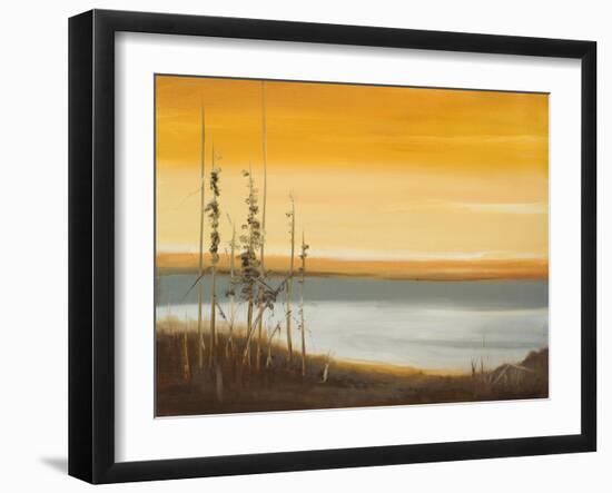 Early Morning II-Nelly Arenas-Framed Art Print