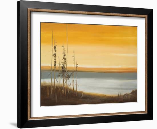 Early Morning II-Nelly Arenas-Framed Art Print