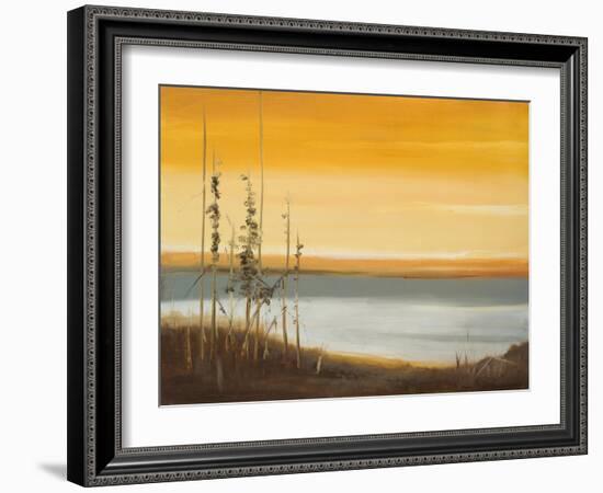 Early Morning II-Nelly Arenas-Framed Art Print