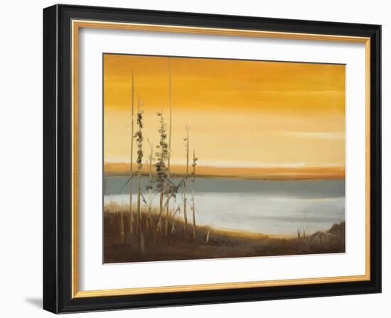 Early Morning II-Nelly Arenas-Framed Art Print