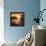 Early Morning II-Gregory Williams-Framed Stretched Canvas displayed on a wall