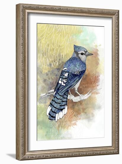 Early Morning Jay-The Tangled Peacock-Framed Giclee Print