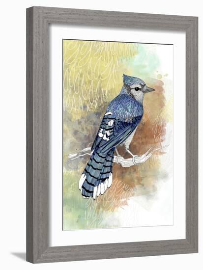 Early Morning Jay-The Tangled Peacock-Framed Giclee Print