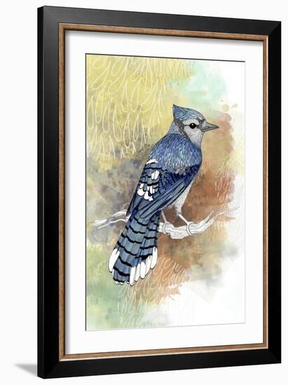 Early Morning Jay-The Tangled Peacock-Framed Giclee Print