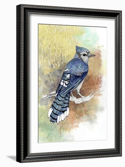 Early Morning Jay-The Tangled Peacock-Framed Giclee Print