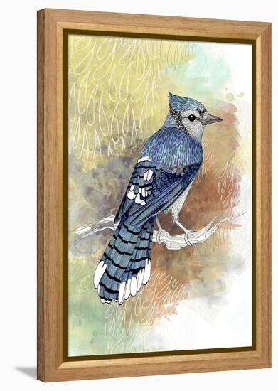 Early Morning Jay-The Tangled Peacock-Framed Premier Image Canvas