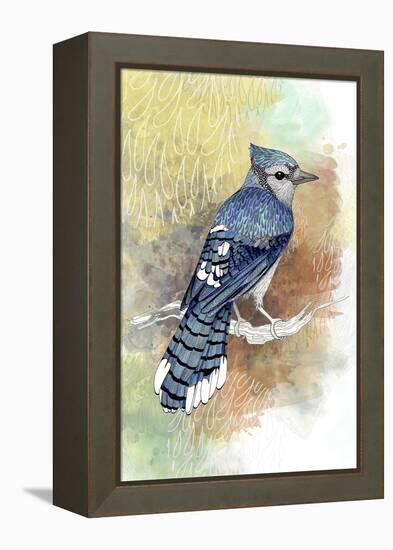 Early Morning Jay-The Tangled Peacock-Framed Premier Image Canvas