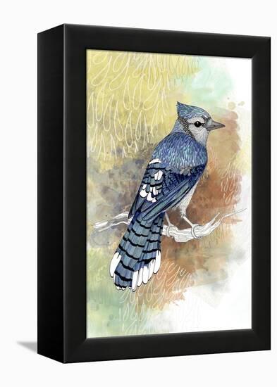 Early Morning Jay-The Tangled Peacock-Framed Premier Image Canvas