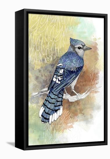 Early Morning Jay-The Tangled Peacock-Framed Premier Image Canvas