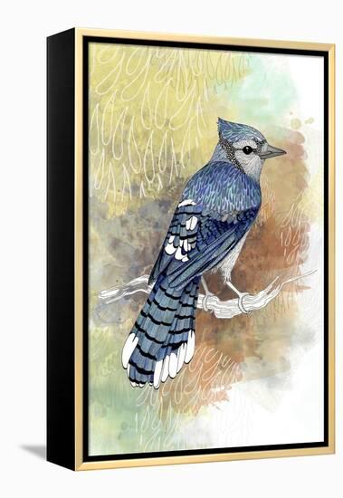 Early Morning Jay-The Tangled Peacock-Framed Premier Image Canvas