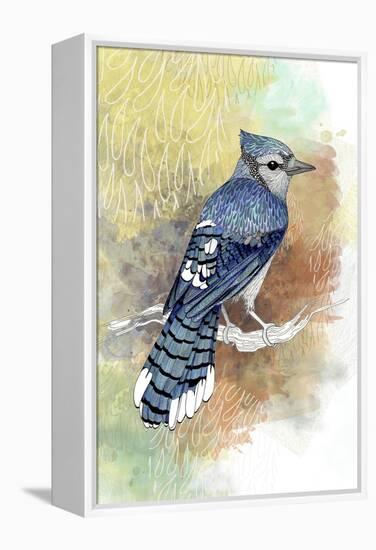 Early Morning Jay-The Tangled Peacock-Framed Premier Image Canvas