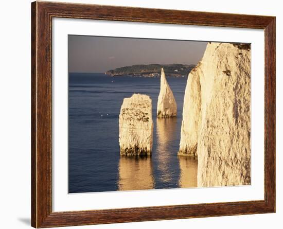 Early Morning Light on the Pinnacles, Handfast Point, Studland, Dorset, England-Ruth Tomlinson-Framed Photographic Print