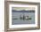 Early Morning Local Fishing Boat, Livingston, Rio Dulce, Guatemala-Cindy Miller Hopkins-Framed Photographic Print