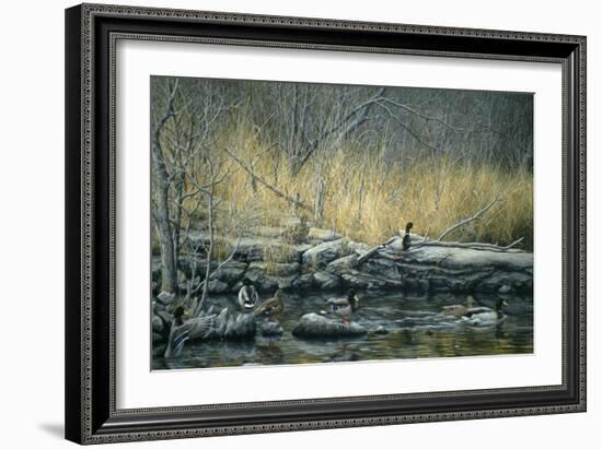 Early Morning Mallards-Jeff Tift-Framed Giclee Print