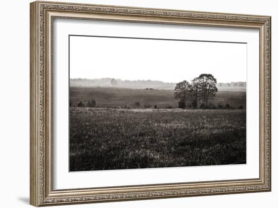 Early Morning Mist I-Alan Hausenflock-Framed Photographic Print