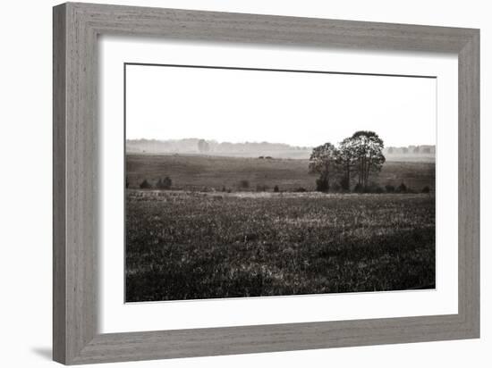 Early Morning Mist I-Alan Hausenflock-Framed Photographic Print