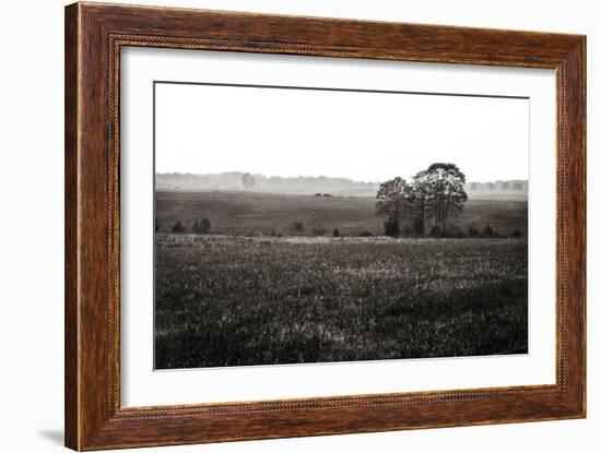 Early Morning Mist I-Alan Hausenflock-Framed Photographic Print