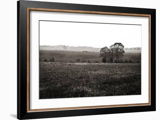 Early Morning Mist I-Alan Hausenflock-Framed Photographic Print