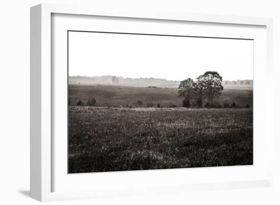 Early Morning Mist I-Alan Hausenflock-Framed Photographic Print