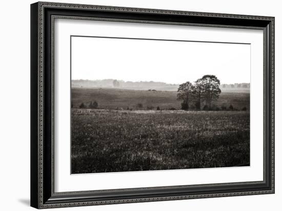 Early Morning Mist I-Alan Hausenflock-Framed Photographic Print