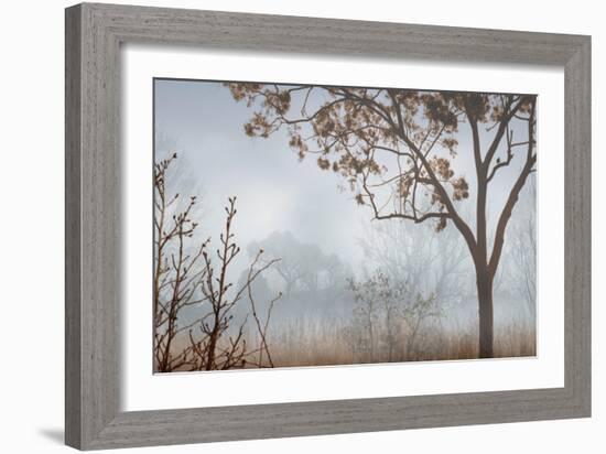 Early Morning Mist I-John Seba-Framed Art Print