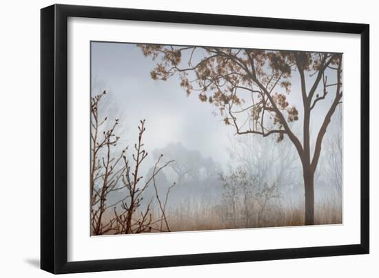 Early Morning Mist I-John Seba-Framed Art Print