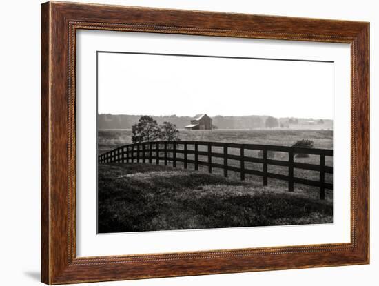 Early Morning Mist II-Alan Hausenflock-Framed Photographic Print