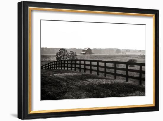 Early Morning Mist II-Alan Hausenflock-Framed Photographic Print