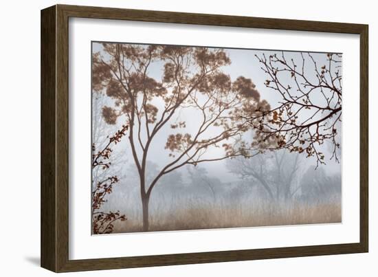 Early Morning Mist II-John Seba-Framed Art Print