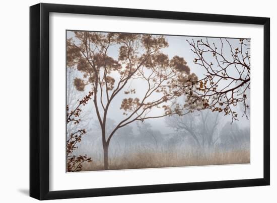 Early Morning Mist II-John Seba-Framed Art Print
