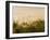 Early Morning Mist on the Kedu Plain at Sunrise from the Borobudur Temple, Java, Indonesia-Matthew Williams-Ellis-Framed Photographic Print