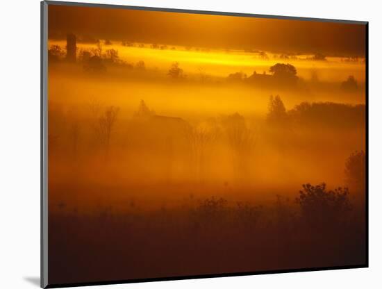 Early Morning Mist-Jim Craigmyle-Mounted Photographic Print