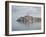 Early morning, Old Town reflections, Rovinj, Istria, Croatia-Jean Brooks-Framed Photographic Print