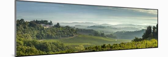 Early Morning Panoramic View of Misty Hills, Near San Gimignano, Tuscany, Italy, Europe-John Miller-Mounted Photographic Print