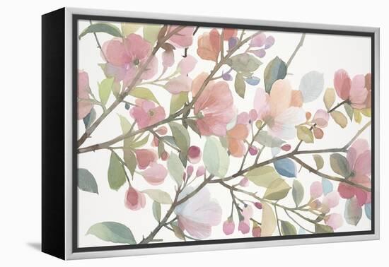 Early Morning Petals-Norman Wyatt Jr.-Framed Stretched Canvas