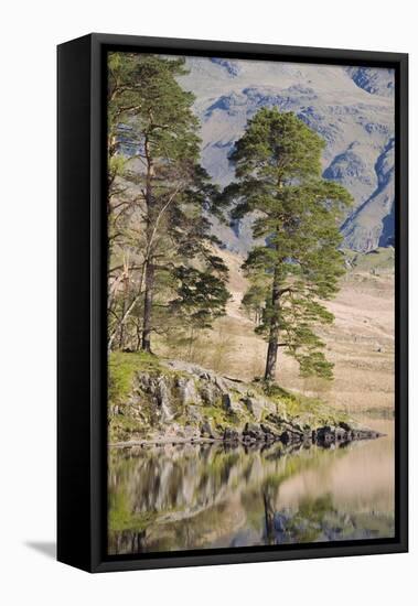 Early Morning Reflections, Blea Tarn, Above Little Langdale-Ruth Tomlinson-Framed Premier Image Canvas