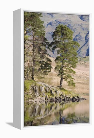 Early Morning Reflections, Blea Tarn, Above Little Langdale-Ruth Tomlinson-Framed Premier Image Canvas