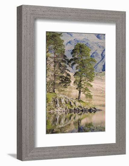 Early Morning Reflections, Blea Tarn, Above Little Langdale-Ruth Tomlinson-Framed Photographic Print