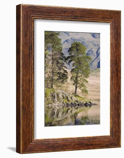 Early Morning Reflections, Blea Tarn, Above Little Langdale-Ruth Tomlinson-Framed Photographic Print