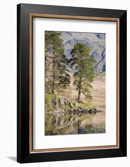 Early Morning Reflections, Blea Tarn, Above Little Langdale-Ruth Tomlinson-Framed Photographic Print