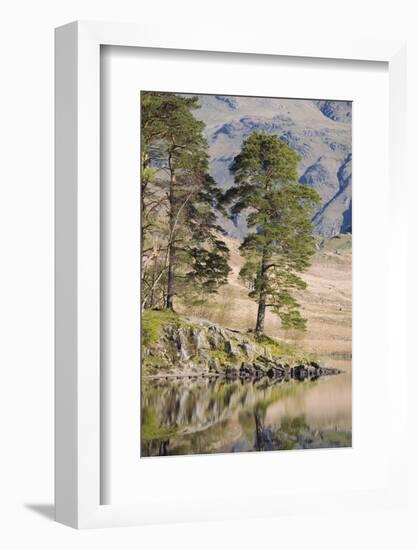 Early Morning Reflections, Blea Tarn, Above Little Langdale-Ruth Tomlinson-Framed Photographic Print