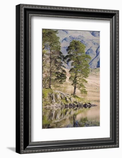 Early Morning Reflections, Blea Tarn, Above Little Langdale-Ruth Tomlinson-Framed Photographic Print