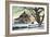 Early Morning Solitude-Kevin Dodds-Framed Giclee Print