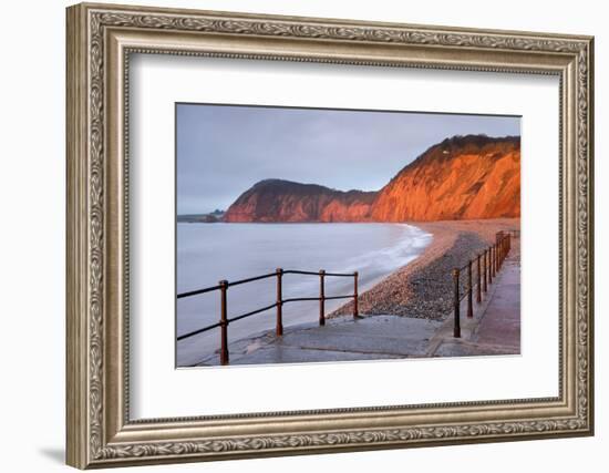 Early Morning Sunlight Glows Against the Distinctive Red Cliffs of High Peak, Sidmouth, Devon-Adam Burton-Framed Photographic Print