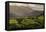 Early morning sunlight illuminates the rolling countryside near Keswick in the Lake District, Cumbr-Adam Burton-Framed Premier Image Canvas